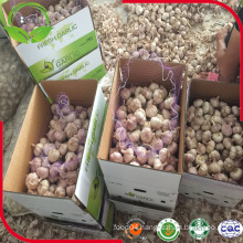 2016 New Crop Fresh Normal White Garlic From Shandong